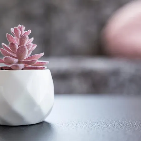 Bergmadl Lägenhet *